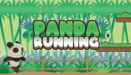 Panda Running