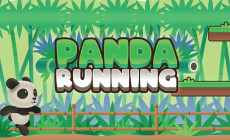 Panda Running